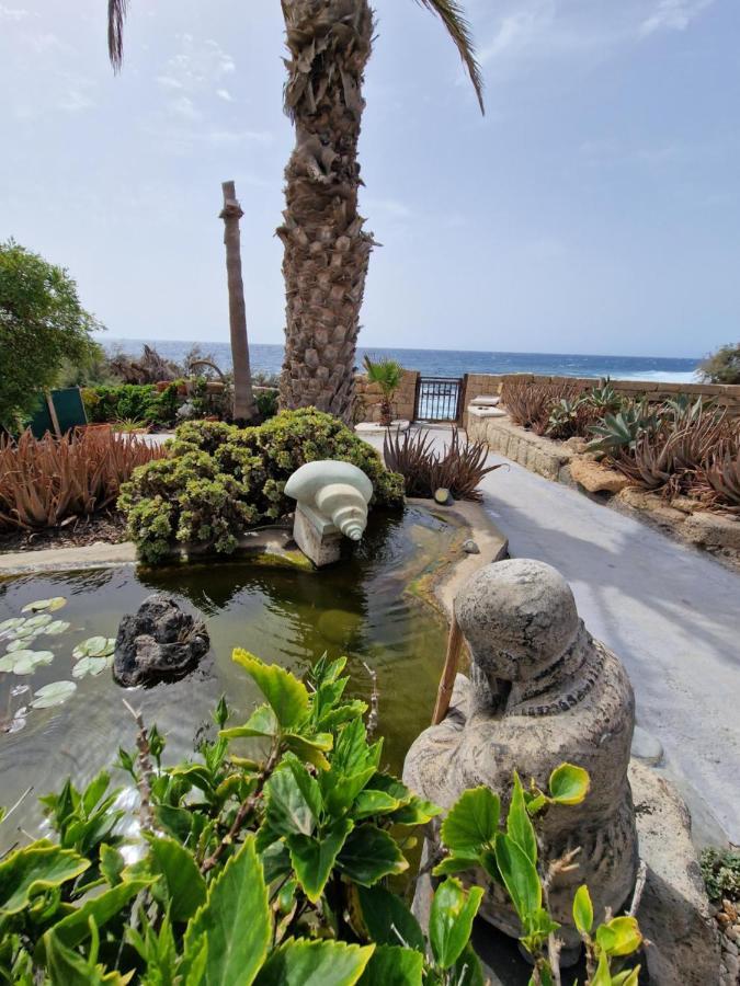 Little Paradise In El Medano Granadilla de Abona Kültér fotó