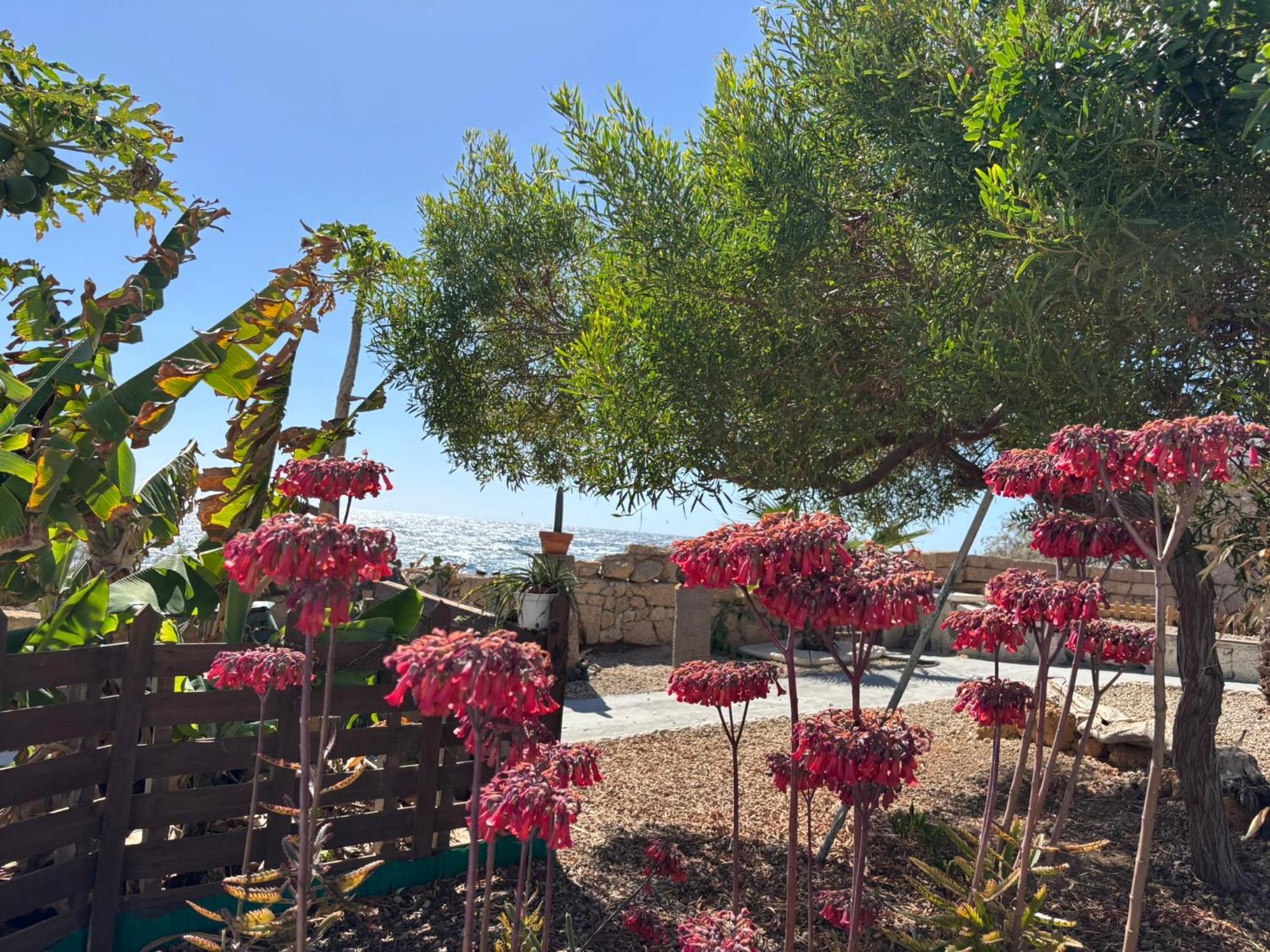 Little Paradise In El Medano Granadilla de Abona Kültér fotó